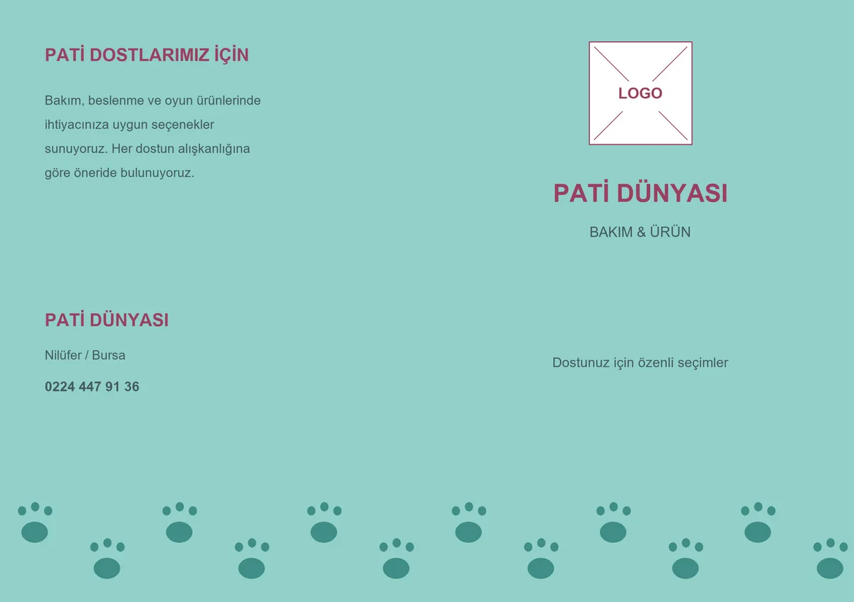 Pati Dünyası — ön yüz