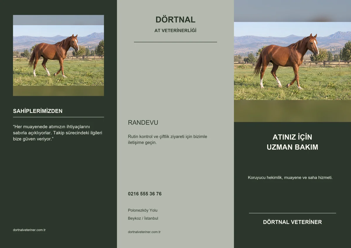 Dörtnal At Veterinerliği — ön yüz