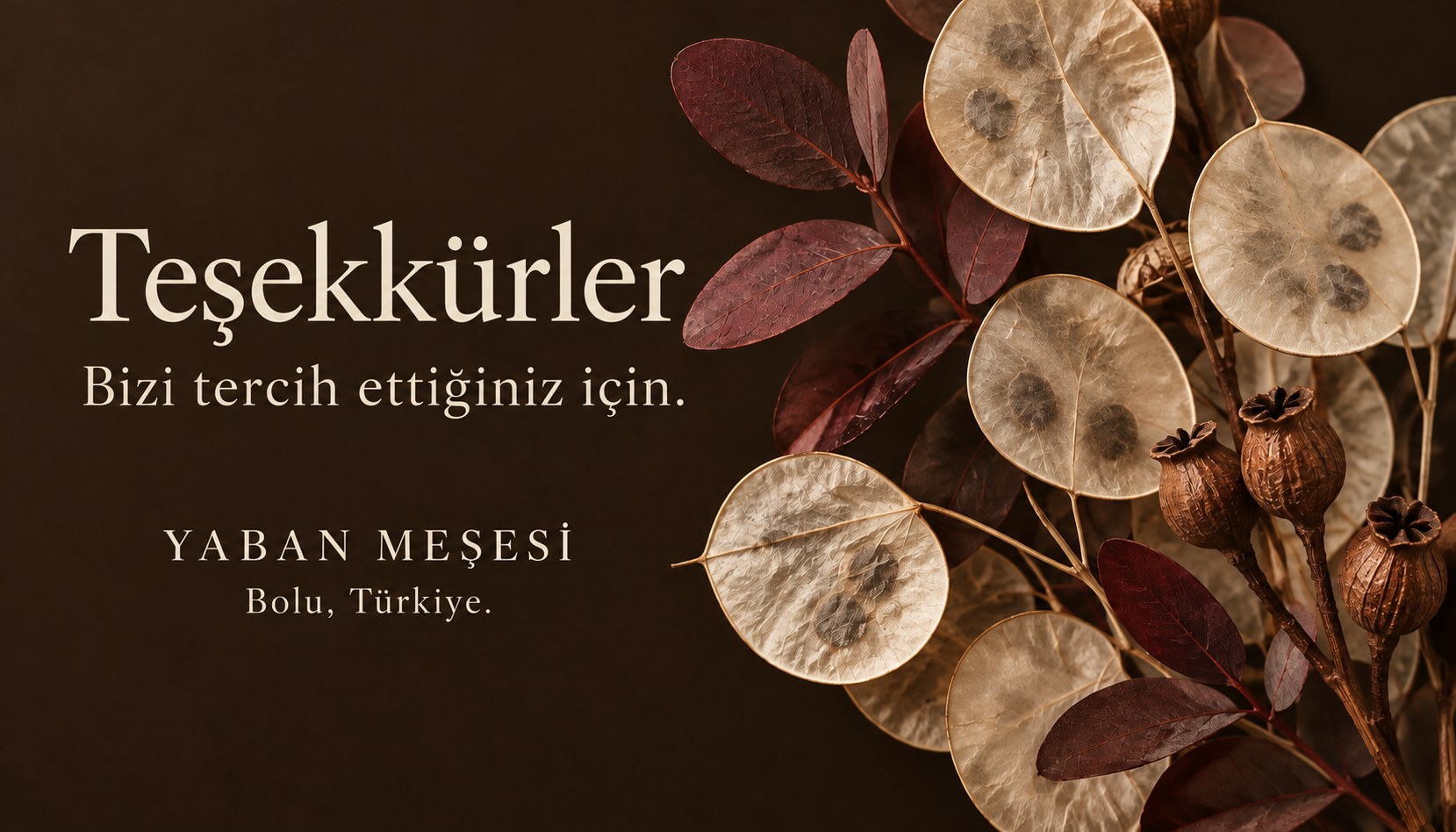 Yaban Mesesi Tesekkur