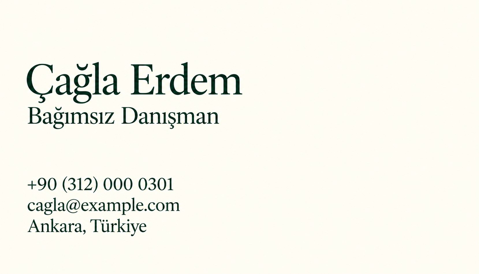 Cagla Erdem