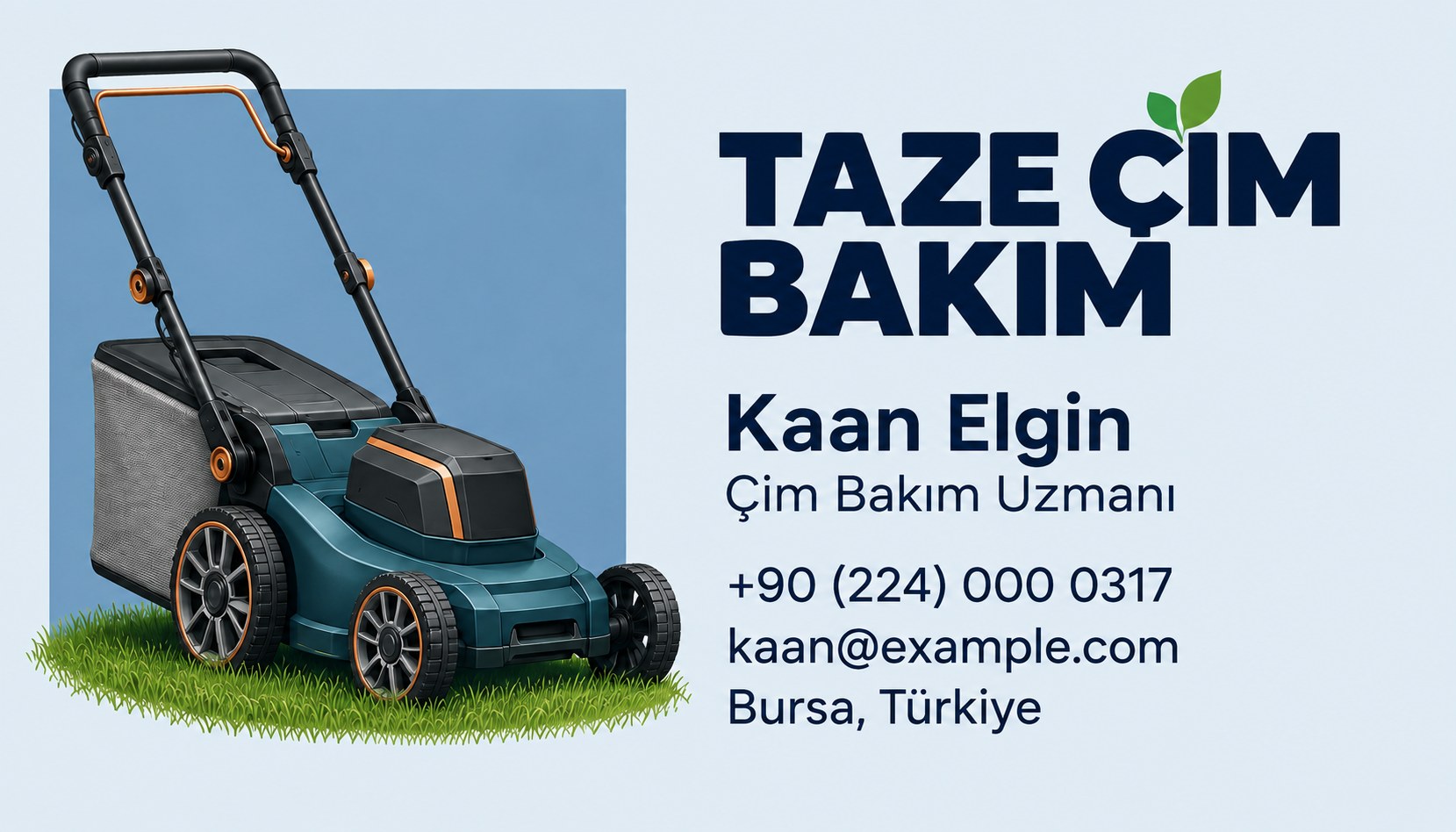 Taze Cim Bakim