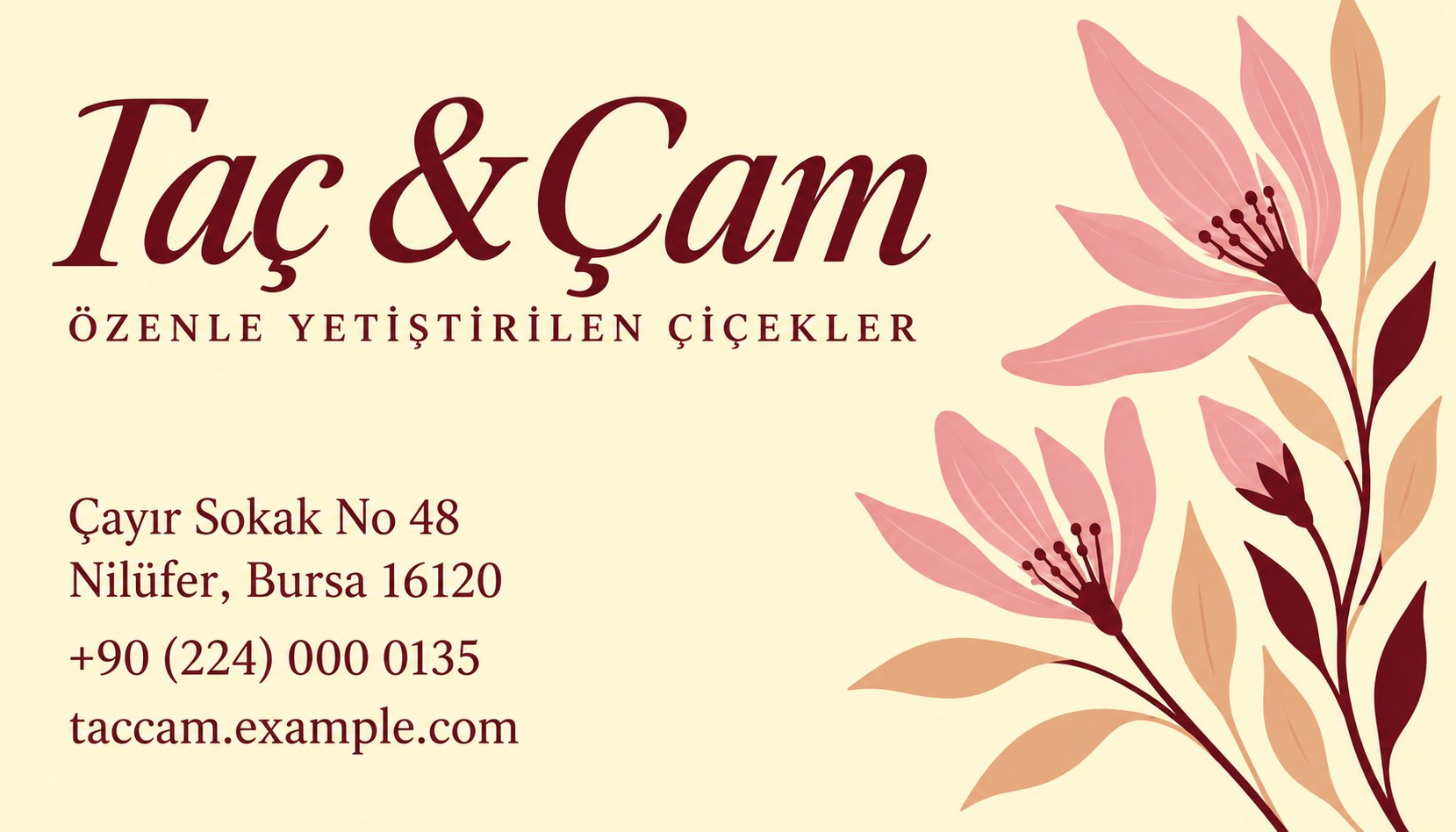 Taç & Çam