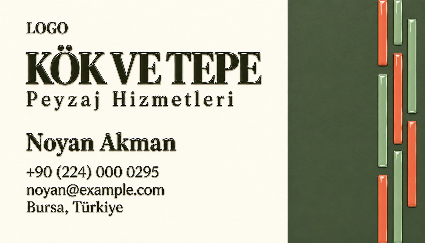 Noyan Akman — Kök ve Tepe