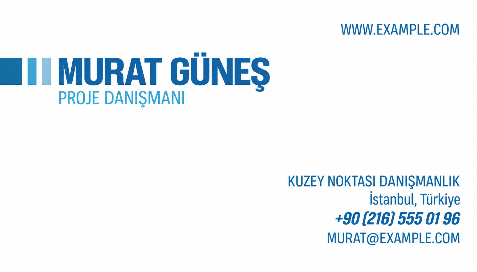 Proje Danışmanlığı